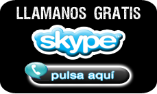Skype Logo Online